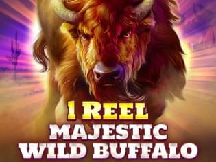 1 Reel - Majestic Wild Buffalo